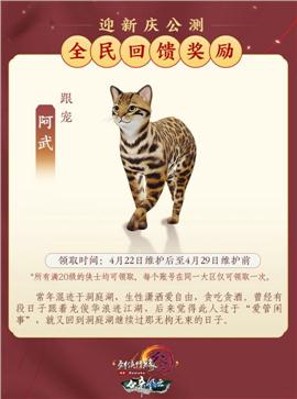新祖玛天龙八部私服